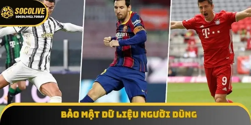 Bảo mật dữ liệu người dùng