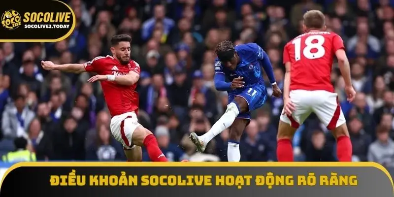 Điều khoản Socolive hoạt động rõ ràng