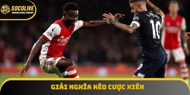 Tìm hiểu khái niệm và đặc điểm độc đáo của kèo rung