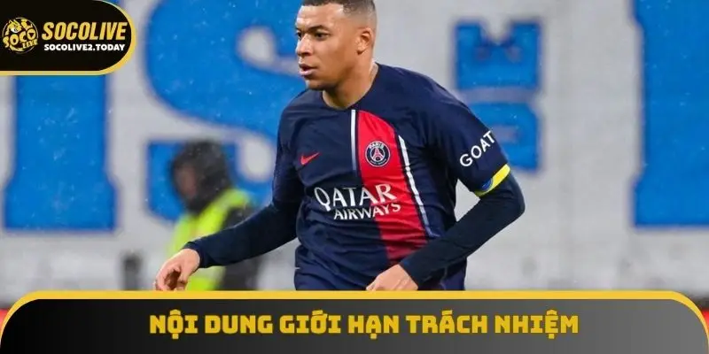 Nội dung giới hạn trách nhiệm